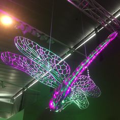 a lighted dragon hanging from the ceiling in a room with green and purple lights on it