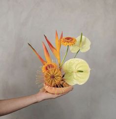 a hand holding a vase with flowers in it