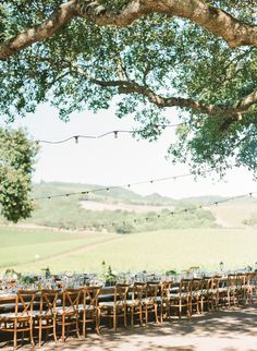 an outdoor dining area with tables and chairs under a large tree in the middle of a field