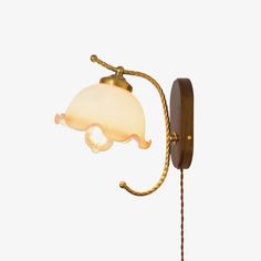 a light that is on the wall next to a roped up lamp fixture with a white background