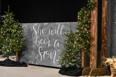 two christmas trees are on display in front of a sign that says she will bear a son