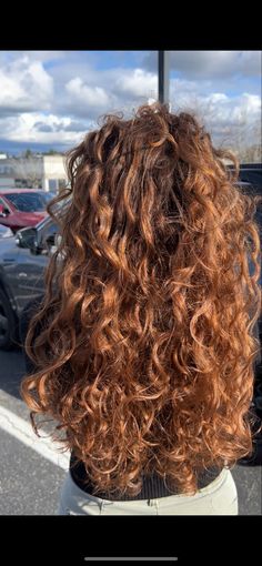 Light Brown Ginger Curly Hair, Copper Brown Hair With Highlights Curly Hair, Cowboy Copper Hair On Curly Hair, Cowgirl Copper On Curly Hair, Light Auburn Hair Curly, Light Brown Copper Curly Hair, Caramel Highlights On Auburn Hair, Curly Cowboy Copper, Honey Copper Hair Curly