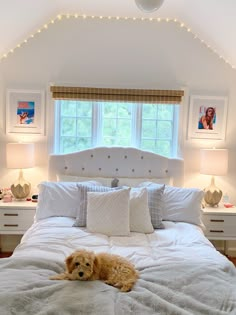 a dog laying on top of a white bed