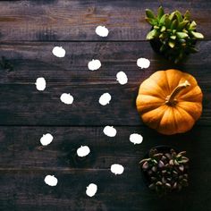 pumpkins and succulents on a wooden table with white polka dot decals