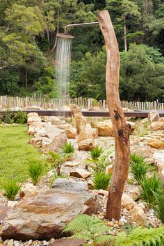 a tree that is in the middle of some rocks and water spouting from it