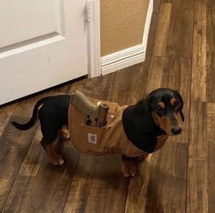 a black and brown dog standing on top of a wooden floor next to a door