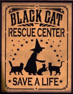 black cat rescue center save a life sign