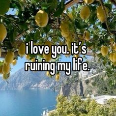 i love you it's running my life with lemons hanging from the tree