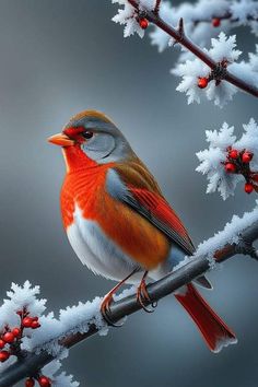 a bird sitting on top of a tree branch covered in ice and snowflakes