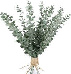 a vase filled with lots of green leaves on top of a white table next to a string