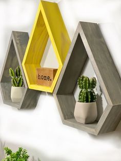 three hexagonal shaped shelves with plants in them