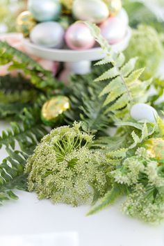 some green plants and eggs on a white table