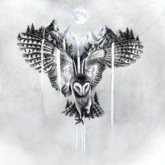 an owl is flying in the sky with mountains and trees on it's back