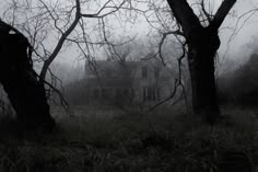 an old abandoned house in the woods on a foggy day with trees and grass