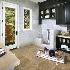 three dogs laying on a dog bed in the middle of a kitchen with black cabinets