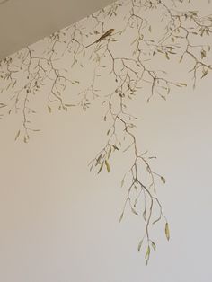 a bird sitting on top of a branch hanging from the ceiling in front of a white wall