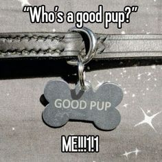 a dog tag that says, who's a good pup? me 1 11