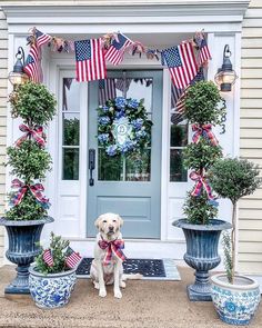 a dog standing in front of a blue door with american flags on it