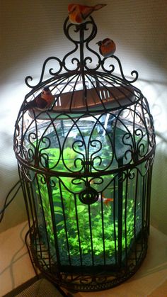 a cage with fish in it on top of a table next to a light fixture