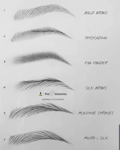 Brow Strokes Microblading, Feathered Microblading Eyebrows, Feather Brows Microblading, Hair Strokes Microblading, Microblading Strokes Pattern, Microblading Shapes, Eyebrow Strokes, Microblading Strokes, Eyebrows Drawing