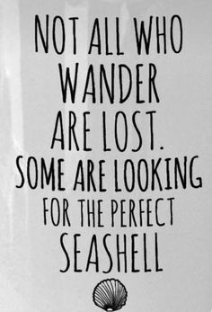 a coffee mug with the words not all who wander are lost some are looking for the perfect seashell