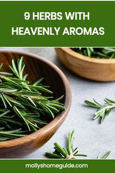 fresh herbs in wooden bowls with text overlay that reads 9 herbs with heavenly aromas