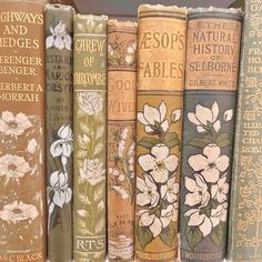 old books lined up on a shelf in a library, with flowers painted on them