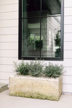 a window sill with some plants in it