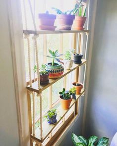 some plants are sitting on shelves in a window sill