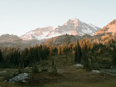 the mountains are covered in snow and trees as the sun is low to the ground