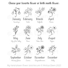 the flower names for each month of birth are shown in black ink on white paper