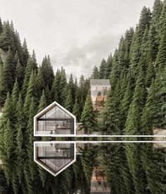 a house in the middle of a forest with trees around it and a reflection on the water