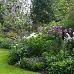 a garden filled with lots of purple and white flowers