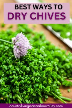 the best ways to dry chives