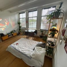 a bed room with a neatly made bed and lots of plants on the windowsill