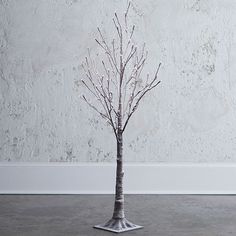 a small tree with no leaves is shown in front of a white wall and concrete floor