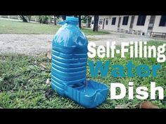 a large blue water bottle sitting on top of green grass next to a building with the words self - filling water dish written above it