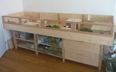 the shelves are filled with plants and plastic bins for storing them on top of each other