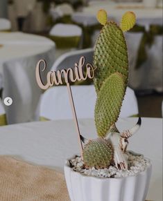 there is a small cactus in a white pot with a name sign on the top