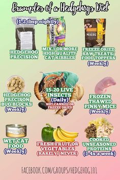 a poster with some food items on it and the caption below that says examples of a healthy diet