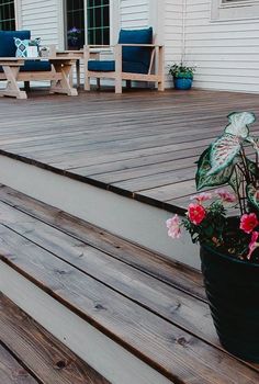 a potted plant sitting on top of a wooden deck