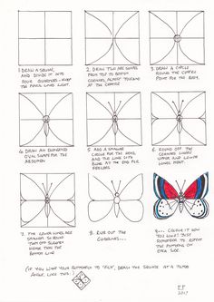 how to draw a butterfly step by step with pictures for beginners and advanced students