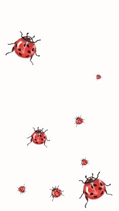 a group of ladybugs flying through the air