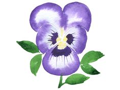 a purple flower with green leaves painted on it's petals and watercolors