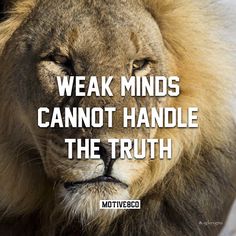 a lion with the words weak minds cannot handle the truth