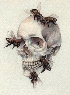 a drawing of a human skull with bees on it's head and the words start all, start all