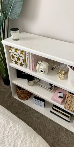 a white shelf with various items on it and a potted plant in the corner