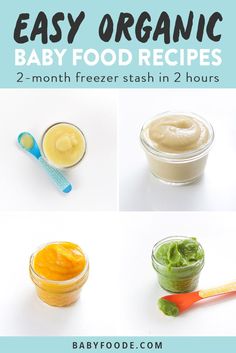 baby food in small glass containers and spoons with the words easy organic baby food recipes