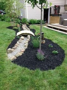 a small tree sitting in the middle of a yard