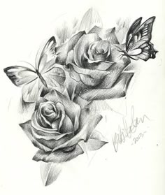 a pencil drawing of two roses and a butterfly